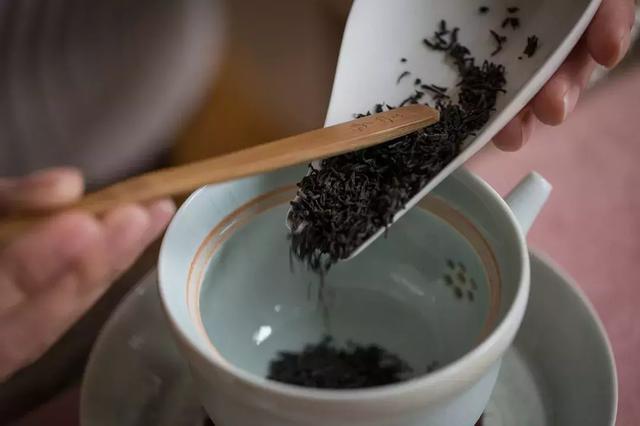 北纬30° | 一条线串起了中国十大名茶，是科学还是玄学？