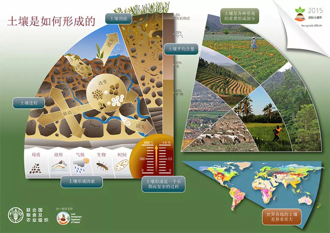 ▲ 土壤的形成及构成，图片来源：联合国粮农组织