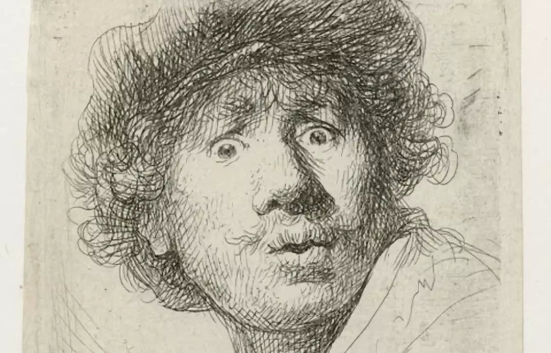 ▲ 伦勃朗自画像 1630年，蚀刻版画，图/荷兰国博官网“全景伦勃朗”介绍页面