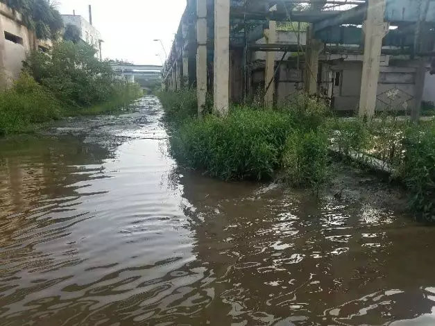 图3   雨后厂区内积水严重