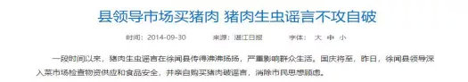 湛江市人民政府网站截图