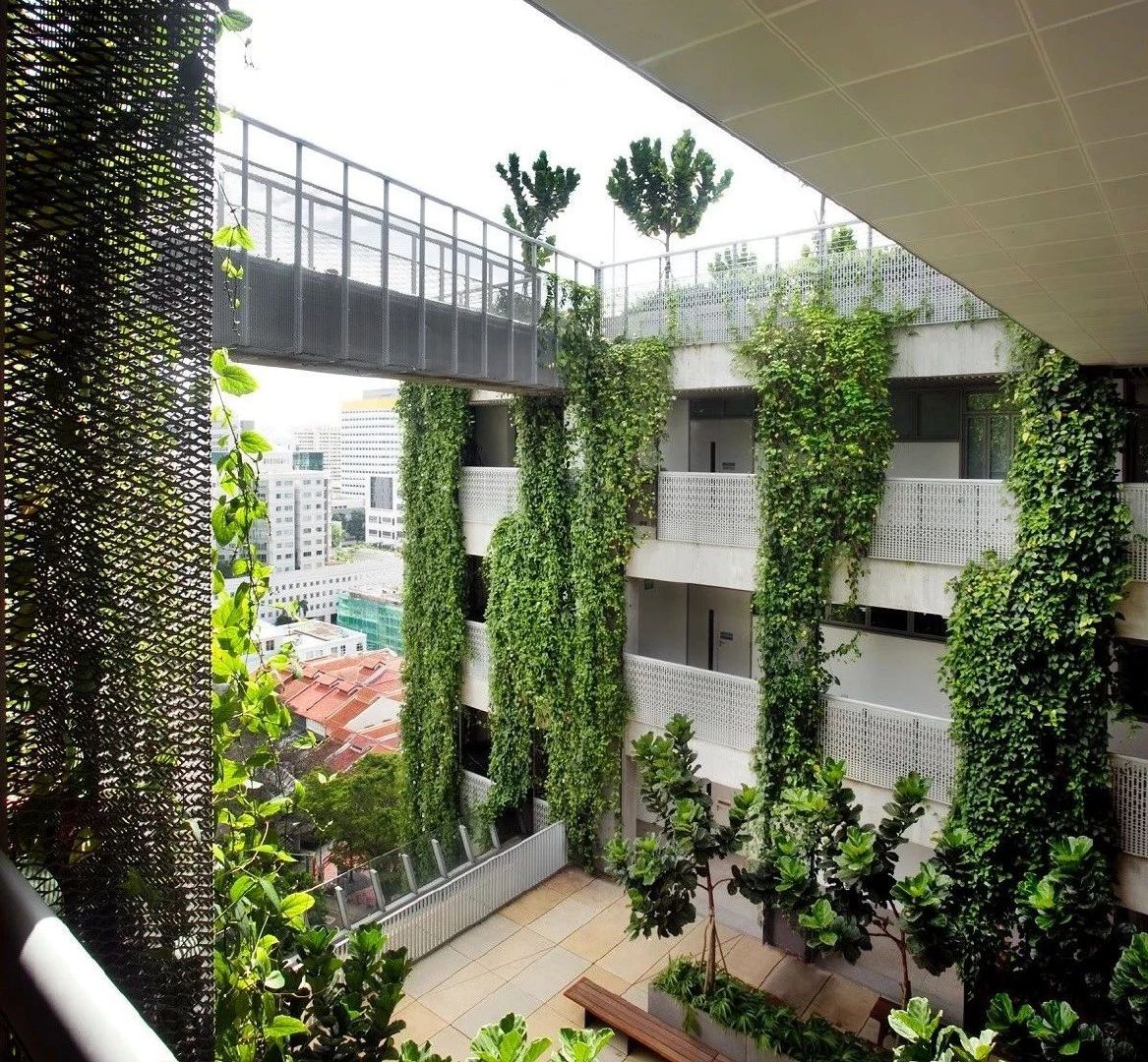 新加坡艺术学院，图片来源于WOHA建筑事务所