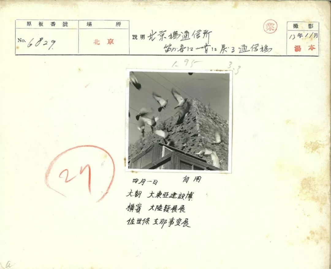 北京鸽子通信所，汤本1938年11月摄于北京