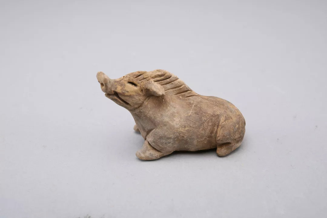 灰陶猪     汉（公元前202年—公元220年）