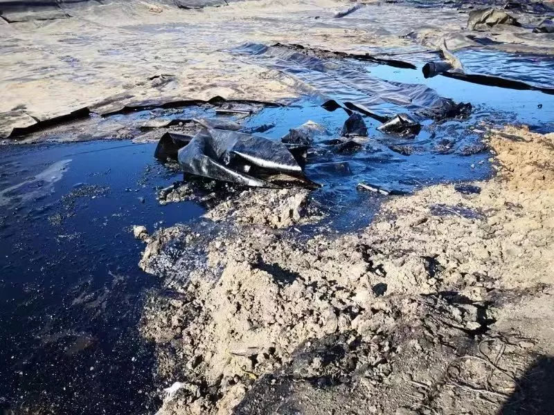 图3  油泥油渣坑塘（2018年11月）