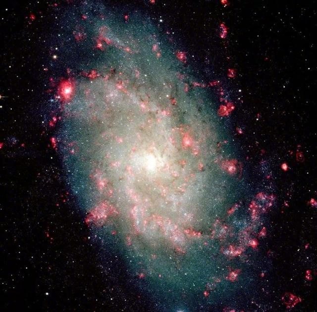 临近银河系的星系M33，红色的是包含大量自由电子的电离氢区。图片来源：罗威尔天文台