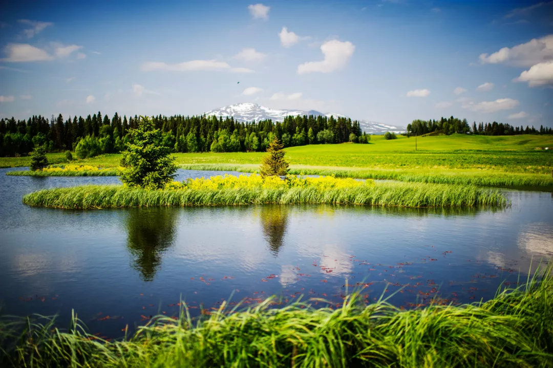 斯德哥尔摩是欧洲首个“绿色之都”，有40%的面积是绿地。不出几步路就是公园，瑞典的