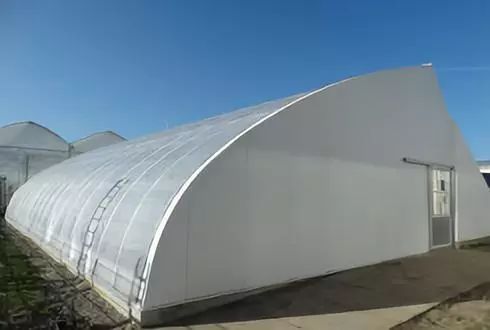 ▲ 建造在荷兰的中国日光温室，图片来源：瓦格宁根大学官网