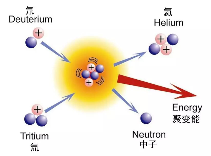 核聚变反应原理（图片来源：中核集团西物院）