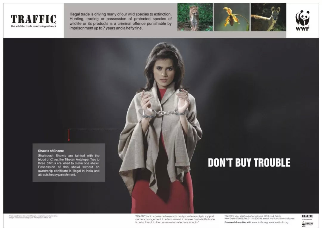 DON’T BUY TROUBLE 系列广告©️TRAFFIC India