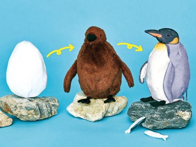 推特热议「企鹅冷知识」你有看过进化未完全的企鹅?-bbin官网_ bbin投诉_bbin平台_bbin客服_bbin宝盈集团官网