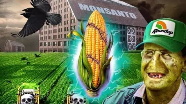 草甘膦是美国孟山都公司的商业基石，草甘膦可以去除一切杂草，而孟山都研制的转基因种子（黄豆、棉花、油菜及玉米等）不受其影响。