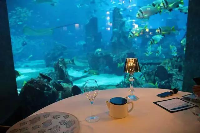 全球唯一深海餐厅