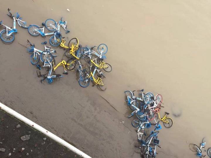 被扔到河里的共享单车