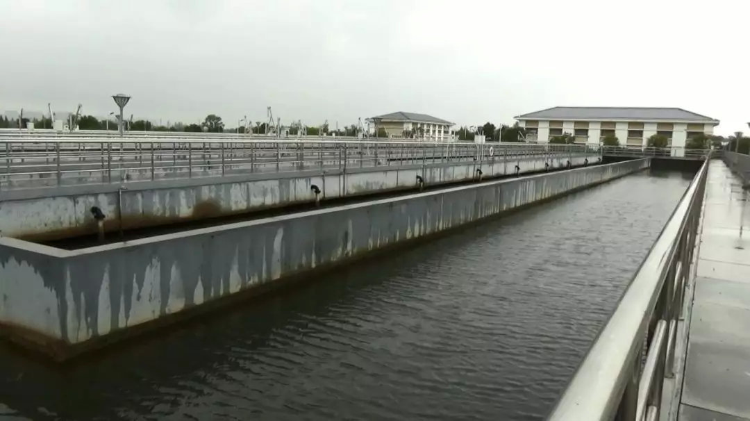 图4 城东污水处理厂生化池基本没有污泥