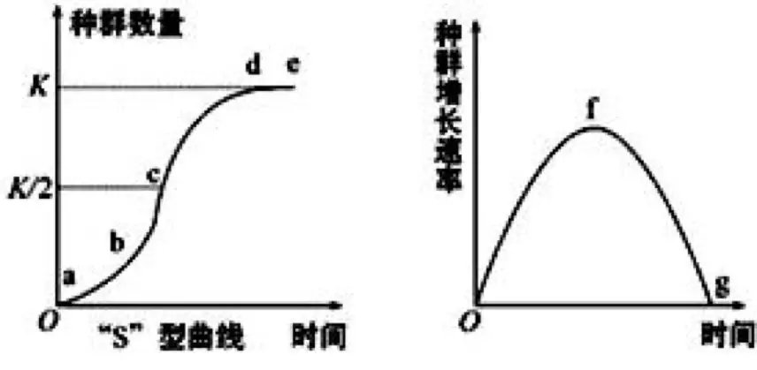 S型种群数量增长曲线及种群数量增长率。