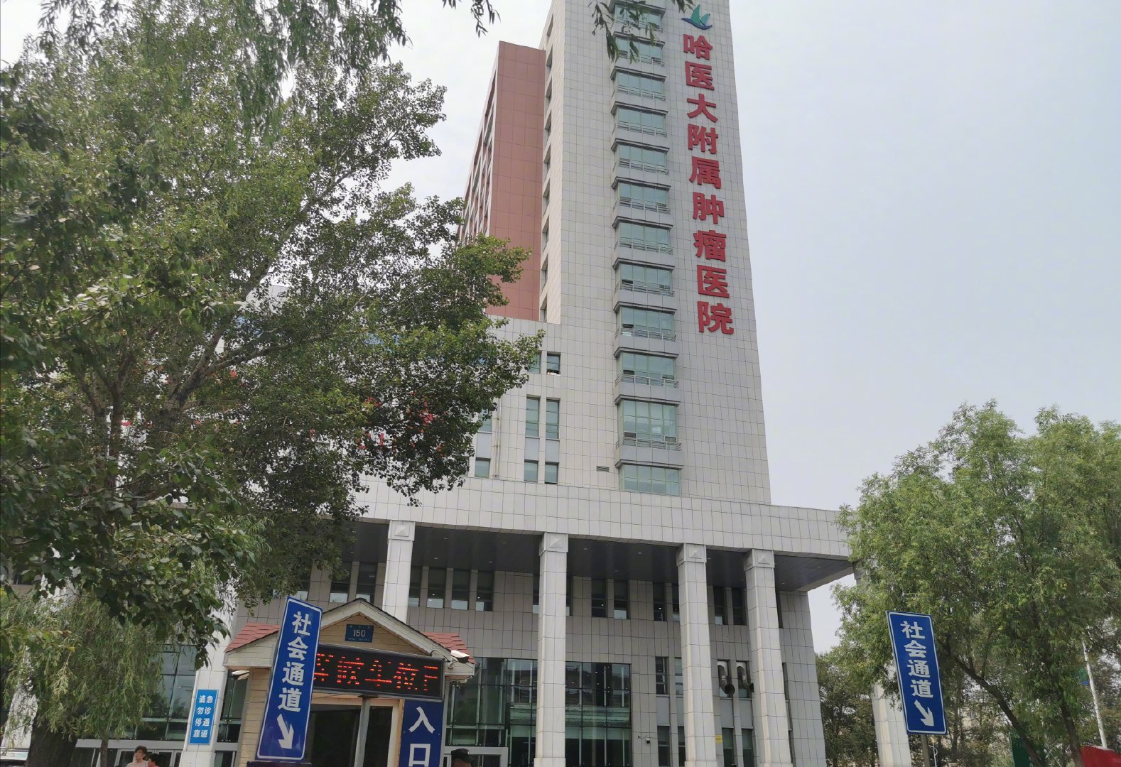 哈尔滨黑救护车调查：打手、调度、假护士垄断院后转