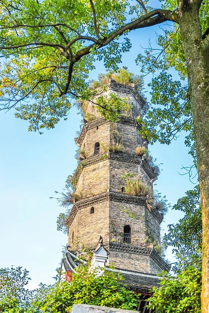 湖南省唯一塔寺并存的千年古刹，竟拥有一座“比萨斜塔”