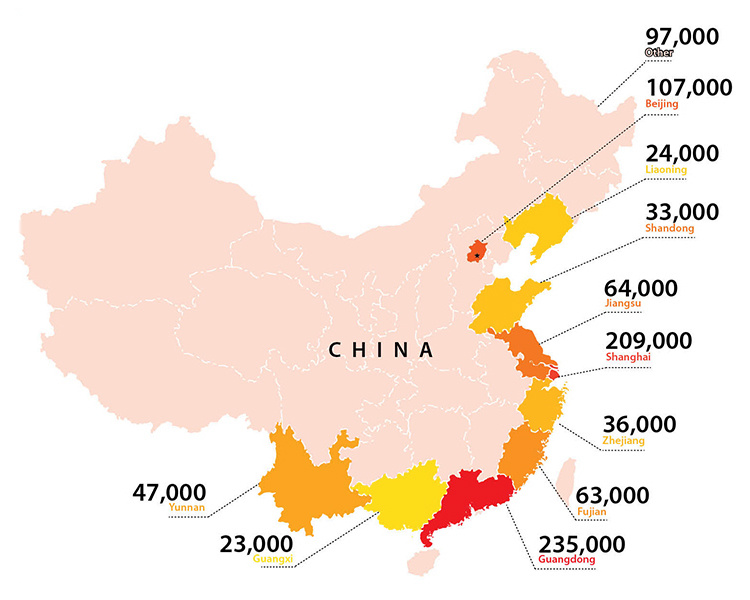 China expat population