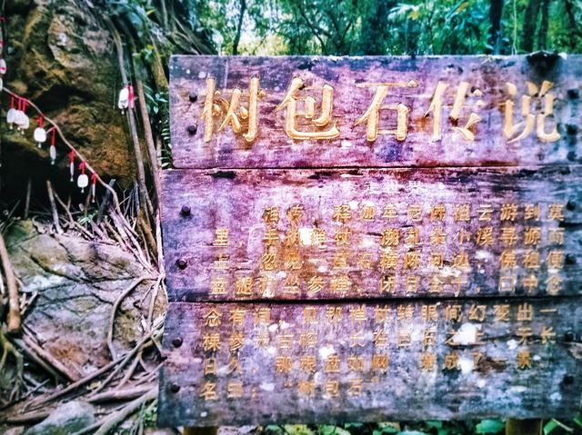 中缅边境密林中神秘脚印 仔细了解背后还有段故事