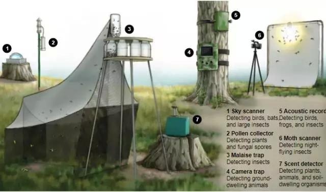 ▲图中3所示，即为科学家们用于捕获昆虫所支起的帐篷陷阱。图据《科学》杂志