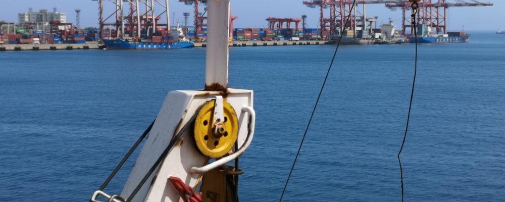 【指数】洋山港国际航行集装箱船舶进出港安全准点指数（4.16）