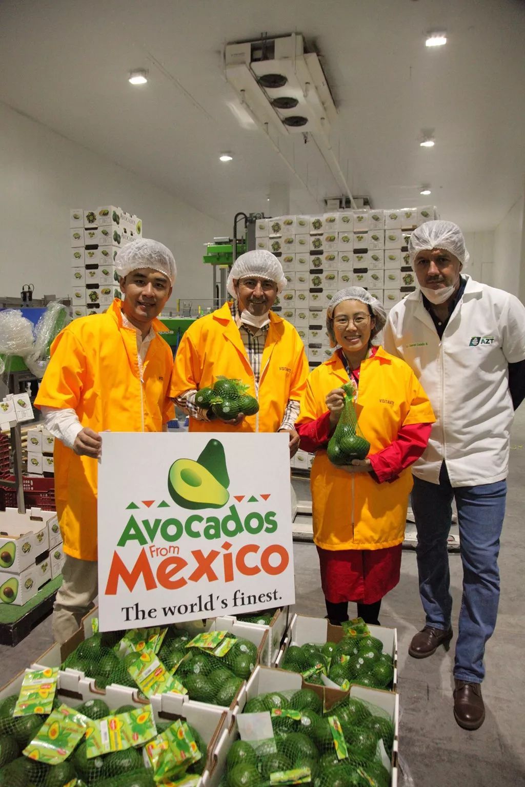 左起依次为光哥、墨西哥牛油果协会代表Miguel、小鱼、包装厂负责人Julio