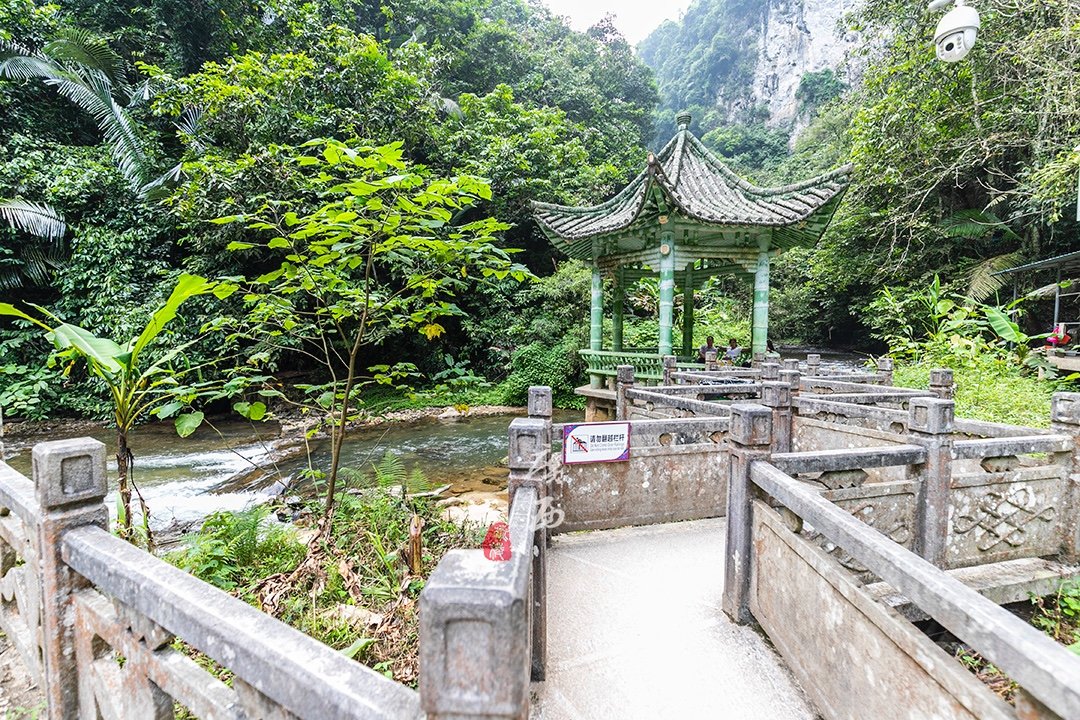 广西有一个举世罕见的原生奇景，也是“中国最绿的生态峡谷”
