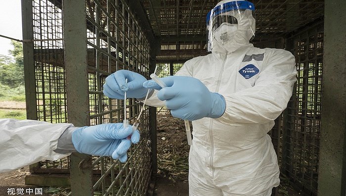 专家称猴痘病毒不太可能大流行，但疫苗储备仍应被重视