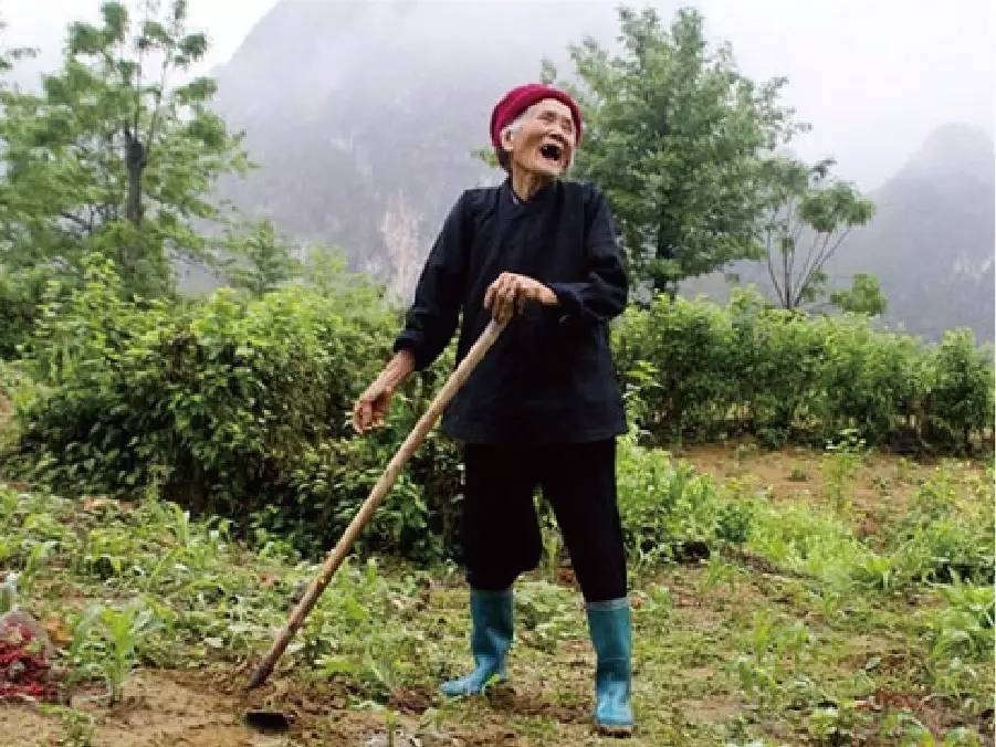 广西巴马县瑶族的卢的花( 112 岁)、卢的小( 105 岁)、卢的妹( 102 岁)