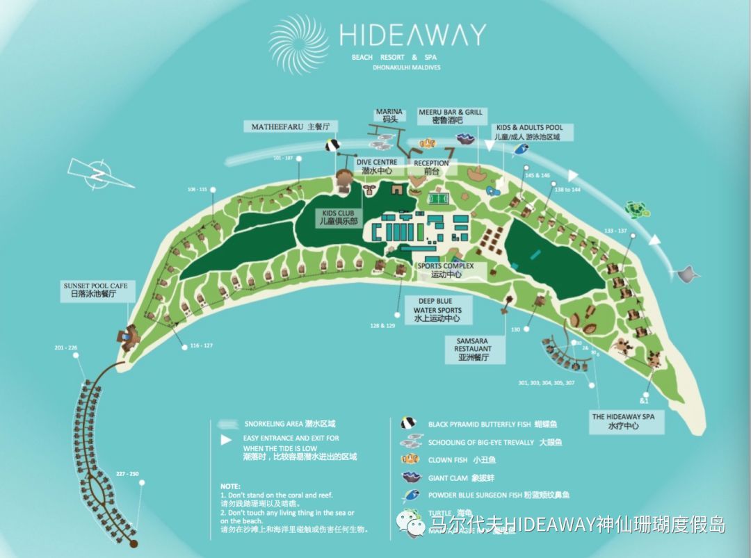【HIDEAWAY】马尔代夫神仙珊瑚岛——最新度假指南